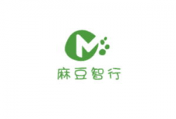 麻豆智行,引领未来出行新潮流